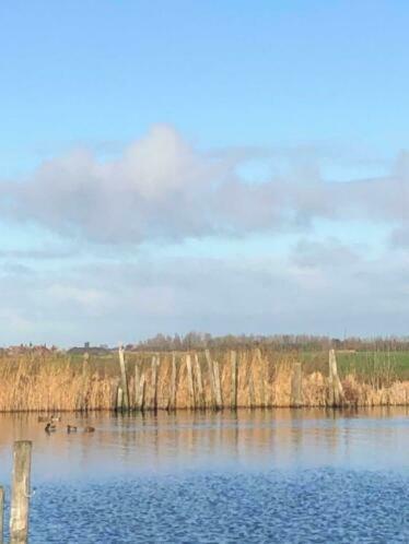 Waterchalet Number 6 Recreationpark Yn'E Lijte Grou Met Ligplaats Boot Villa Eksteriør bilde